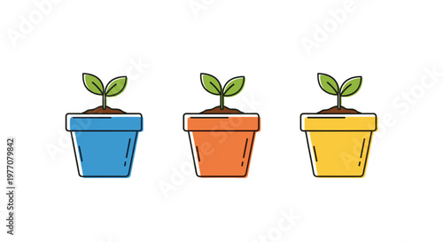 Three identical green seedlings with two leaves each grow from dark soil inside blue orange and yellow minimalist flower pots on a plain white surface