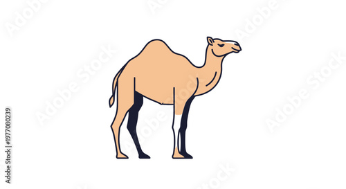 Simple cartoon illustration of a dromedary camel standing on a white background, depicting desert animal life.