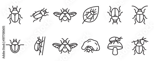 Collection of various simple line art beetle and insect icons, depicting different poses and interactions with nature elements