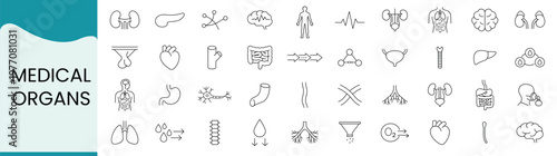 Medical organs line icons set human anatomy, internal organs, body systems, health care, biology, and medical research vector icons
