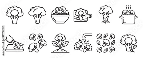Collection of simple line art icons depicting various stages of broccoli, from whole vegetable to florets, cooking, and growing