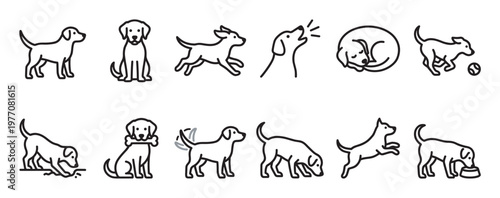 Collection of simple black outline dog icons depicting various actions and poses in a clean, minimalist style