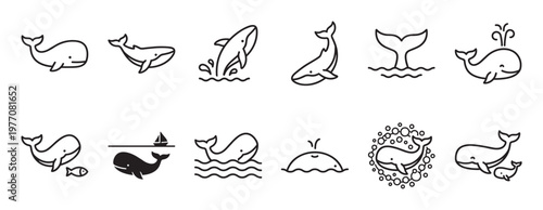 Collection of simple black outline whale icons in various poses, including jumping, spouting, and swimming