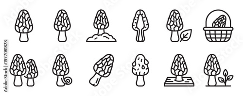 Collection of morel mushroom outline icons depicting various forms and contexts in a clean, modern style