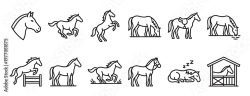 Collection of black outline horse icons depicting various actions and poses in a simple, graphic style