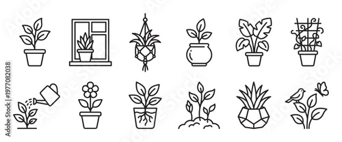 Various simple black outline icons depicting different potted houseplants, gardening activities, and natural elements in a clean, modern style