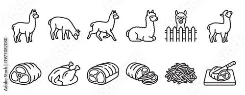 Collection of black outline icons depicting various alpaca poses and different cuts of meat, presented in a simple, clean style