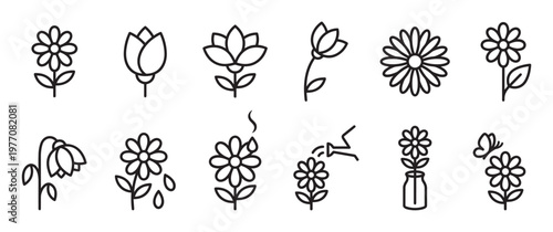 Collection of simple black outline flower icons representing growth, care, and various floral states in a clean, minimalist style