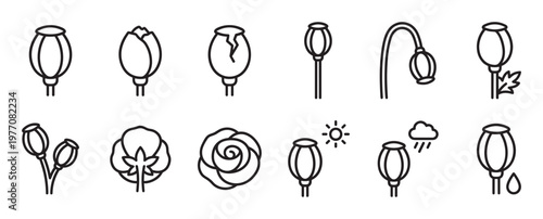 Collection of black outline poppy seed pod icons, depicting various stages of growth and weather conditions in a clean, minimalist style