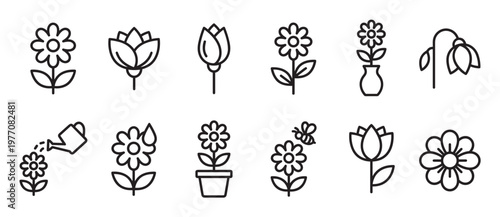 Collection of various outline flower icons depicting growth, care, and different stages of bloom in a simple, clean style