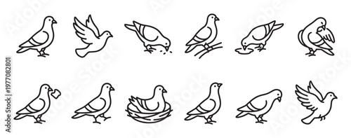 Collection of simple black outline pigeon icons illustrating various activities like standing, flying, eating, and nesting