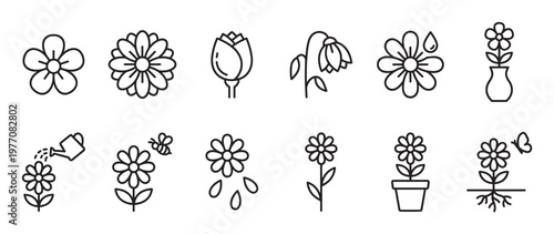 Collection of twelve simple black outline flower icons depicting various stages of growth and care, presented in a clean, minimalist style