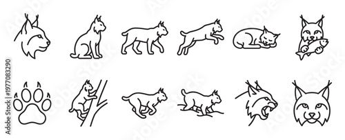 Collection of minimalist black outline lynx icons depicting various poses, actions, and a paw print, presented in a clean, graphic style