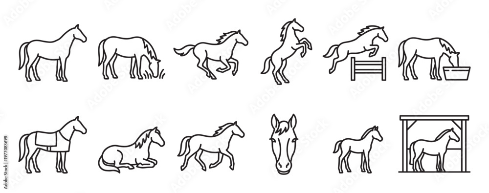 Obraz premium Collection of various horse outline icons depicting different poses and activities in a simple, clean line art style