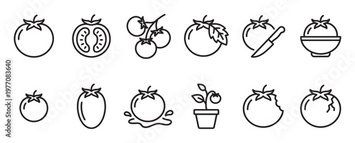 Collection of black outline tomato icons showing whole, sliced, on vine, with leaf, knife, bowl, plant, bitten, and cracked