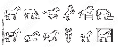 Collection of various horse outline icons depicting different poses and activities in a simple, clean line art style