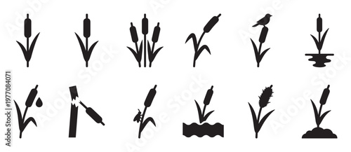 Collection of black silhouette cattail icons depicting various growth stages and interactions, presented in a clean, graphic style