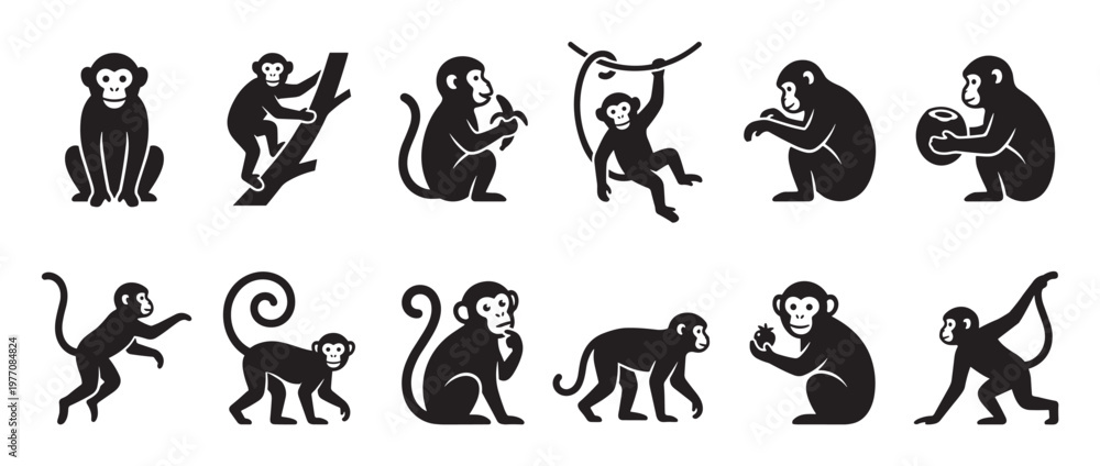 Fototapeta premium Collection of twelve black monkey silhouettes in various poses, including sitting, climbing, swinging, and holding fruit, presented as graphic icons