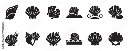 Collection of various black seashell and conch shell icons, featuring different shapes and marine elements in a minimalist graphic style
