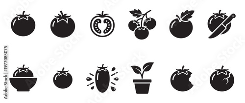 Various black tomato icons illustrate different stages of the fruit, from whole to sliced, on a clean white surface