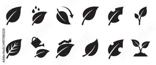 Collection of black leaf icons depicting growth, care, damage, and regeneration, presented in a clean, graphic style