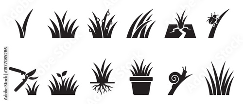 Various black grass icons illustrating different conditions like growth, watering, drought, pests, and gardening tools