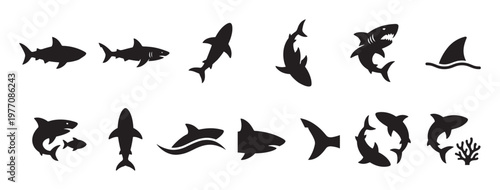 Various black shark silhouettes and fin icons are arranged in a clean, graphic style on a bright white surface
