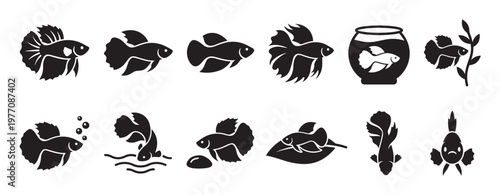 Various black silhouette betta fish icons illustrate different poses and styles of the popular aquatic pet, rendered in a clean graphic design