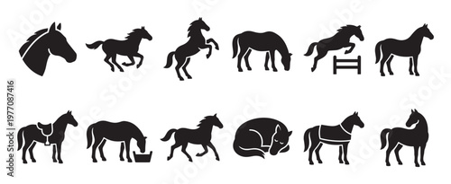 Collection of various black horse silhouettes in different poses and actions, including jumping, rearing, grazing, and sleeping, presented in a clean, graphic style