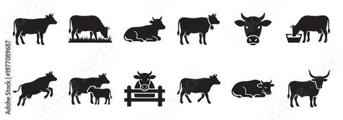 Collection of various black cow silhouettes in different poses, including standing, grazing, jumping, and resting, on a clean white field