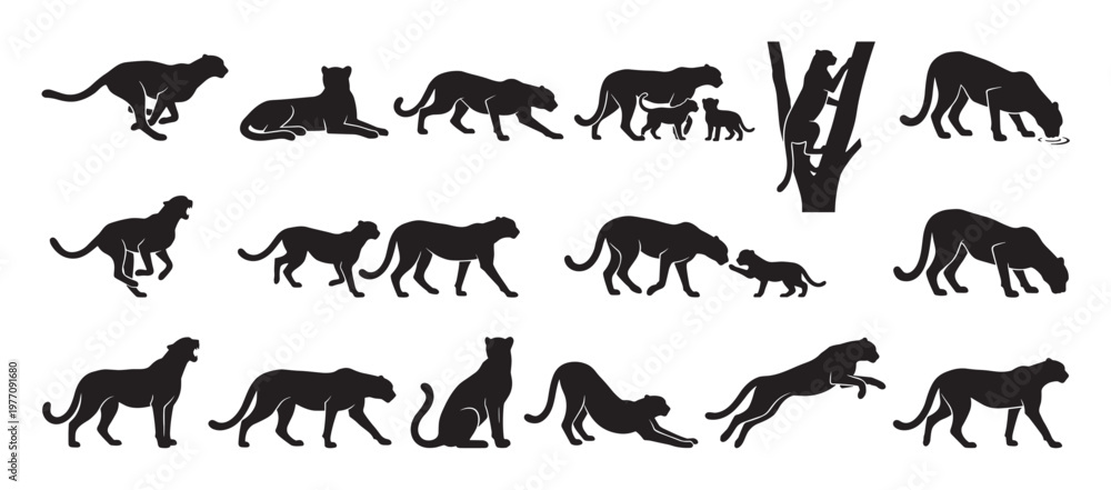 Obraz premium Various black panther silhouettes in different poses, including running, walking, sitting, and interacting with cubs, in a graphic style
