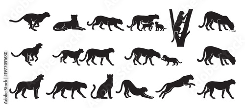 Various black panther silhouettes in different poses, including running, walking, sitting, and interacting with cubs, in a graphic style