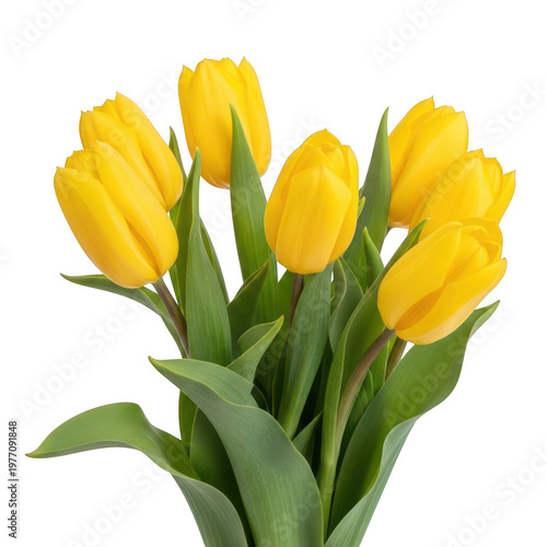 A vibrant bouquet of yellow tulips in full bloom with green stems and leaves