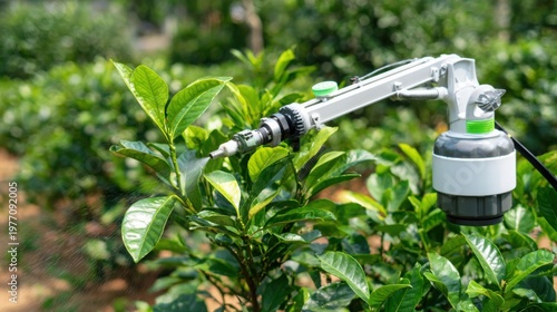 Autonomous Robotic Sprayer Arm Tending to Green Plants in an Agricultural Field