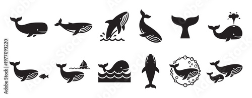 Collection of various black whale icons in different poses and styles, including jumping, spouting, and swimming
