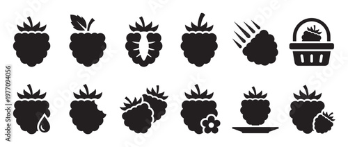 Collection of black raspberry silhouette icons, depicting various forms of the fruit with clean lines and a modern graphic style