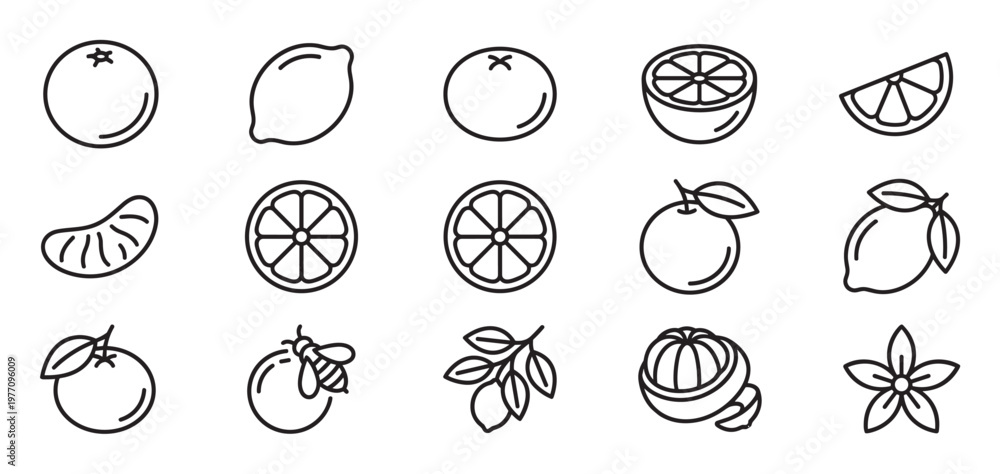 Fototapeta premium Various citrus fruit outline icons including whole oranges, lemons, slices, and a blossom, presented in a clean, minimalist style