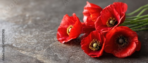 Rememberance day background with red poppy flowers on dark stone texture, suitable for text and messages