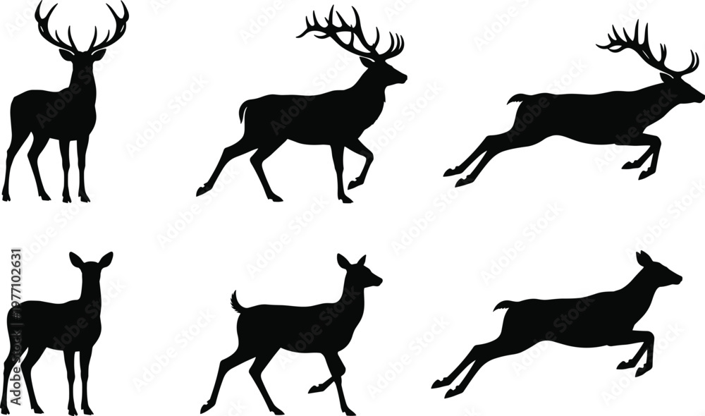 Fototapeta premium Deer silhouette collection featuring stag with antlers and doe shapes in various poses like running and standing isolated on white background for forest nature wilcts