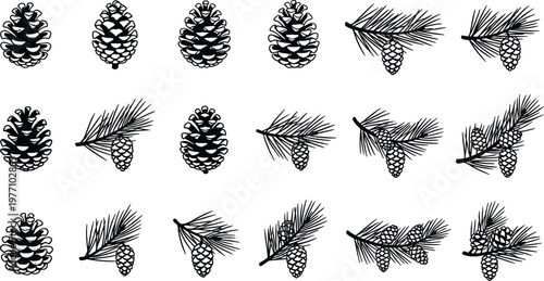 Pine cone and evergreen branch silhouettes collection featuring various cedar and spruce forest elements isolated on white background for winter holiday nature and vector design projects