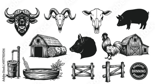 Rustic Farm Life Elements and Livestock Illustration Set