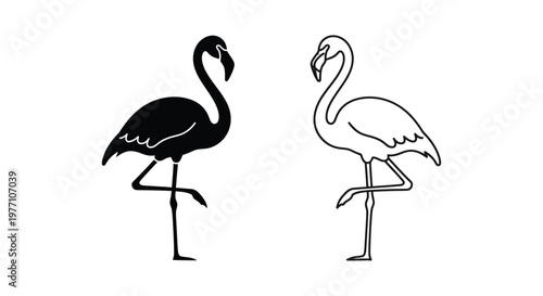 Black and White Flamingo Vector Art Design Vector