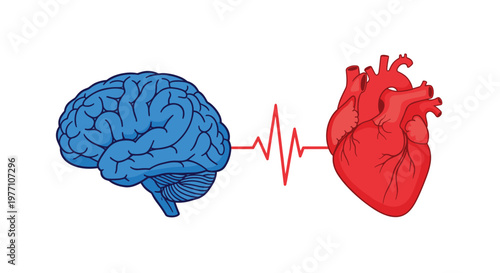 An intricate anatomical illustration shows a detailed blue brain and a realistic red heart connected by a continuous red electrocardiogram pulse line graphic.