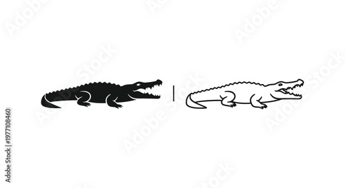 Crocodile vs Alligator: Key Differences Illustrated Vector
