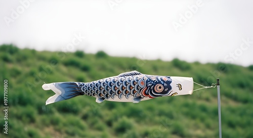 Koinobori carp windsock flying outdoors with natural background Children’s Day