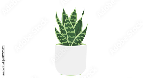 A striking snake plant showcases its tall upright sword-shaped leaves with distinct wavy dark green patterns while growing inside a pristine white pot.