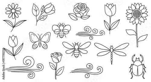 A collection of flowers insects and butterflies isolated on white background, Vector, illustration