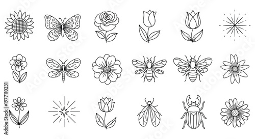 A collection of line drawings of flowers and insects isolated on white background, Vector, illustration