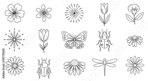 A collection of flowers, insects and bugs drawings isolated on white background, Vector, illustration