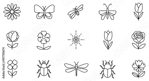A collection of black and white line drawings of flowers and insects isolated on white background, Vector, illustration